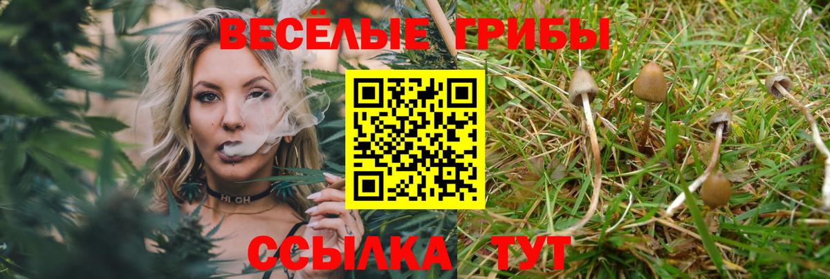 Галлюциногенные грибы мухоморы Корсаков